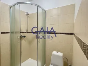 Prodej rodinného domu, Strážnice, Dúbrava, 221 m2