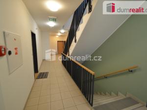 Pronájem bytu 1+kk, Praha - Hloubětín, Modrého, 35 m2