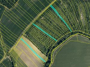 Prodej pole, Hoštice, 13600 m2