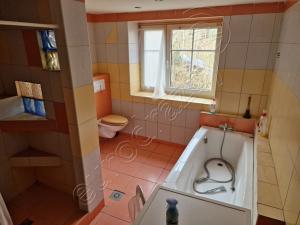 Dražba ubytování, Ostrov, Krušnohorská, 750 m2