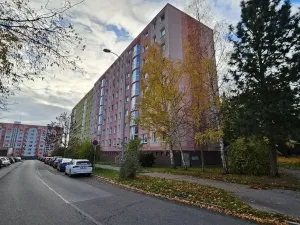 Prodej bytu 3+1, Plzeň - Bolevec, U Jam, 65 m2