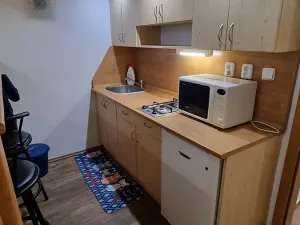 Pronájem bytu 1+kk, Praha - Žižkov, Jagellonská, 34 m2