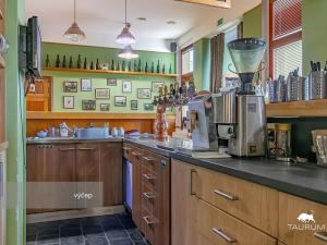 Prodej restaurace, Rokycany, Sokolská, 413 m2