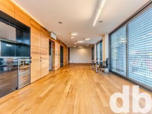 Pronájem bytu 1+kk, Cheb, 26. dubna, 70 m2