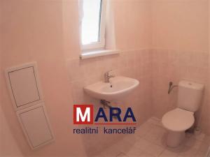 Pronájem bytu 1+1, Olomouc, Máchova, 50 m2