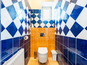 Prodej rodinného domu, Radnice, Pivovarská, 377 m2