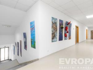 Prodej komerční nemovitosti, Havlíčkův Brod, V Rámech, 1081 m2