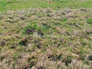 Prodej pozemku pro bydlení, Heřmanov - Fojtovice, 1246 m2