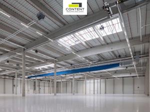 Pronájem výrobních prostor, Hustopeče, Brněnská, 6183 m2