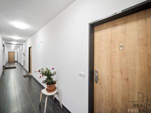 Prodej bytu 3+kk, Hradec Králové, Antonína Petrofa, 103 m2