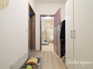 Pronájem bytu 1+kk, Brno, Svitavská, 33 m2