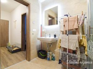 Pronájem bytu 1+kk, Brno, Svitavská, 33 m2