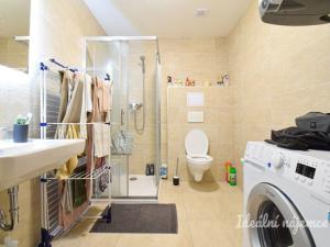 Pronájem bytu 1+kk, Brno, Svitavská, 33 m2