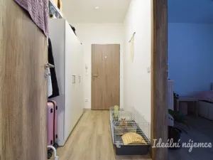 Pronájem bytu 1+kk, Brno, Svitavská, 33 m2