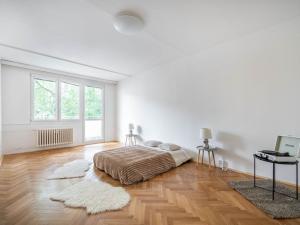 Pronájem bytu 2+1, České Budějovice - České Budějovice 3, Kostelní, 62 m2