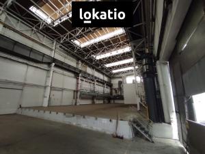 Pronájem skladu, Plzeň, Na Pomezí, 1980 m2