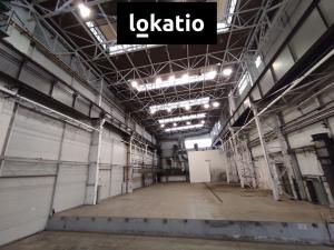 Pronájem skladu, Plzeň, Na Pomezí, 1980 m2