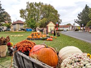 Prodej rodinného domu, Tuhaň, 105 m2