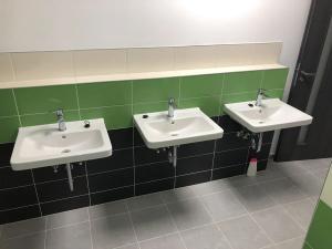 Pronájem bytu 6+kk a větší, Sokolov, Karla Havlíčka Borovského, 220 m2