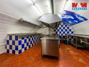 Pronájem restaurace, Plzeň - Vnitřní Město, Zbrojnická, 130 m2
