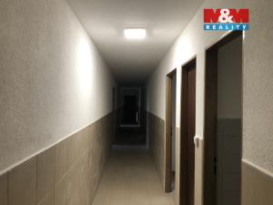 Pronájem bytu 1+1, Opočno, Kupkovo nám., 28 m2