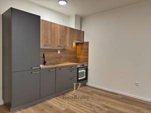 Pronájem bytu 1+kk, Olomouc, Janského, 46 m2