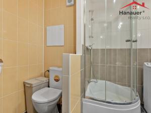 Prodej bytu 3+1, Ústí nad Labem - Krásné Březno, Dvojdomí, 72 m2