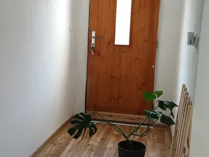 Pronájem rodinného domu, Velké Bílovice, 80 m2