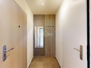 Prodej bytu 1+1, Most, Jana Kubelíka, 27 m2