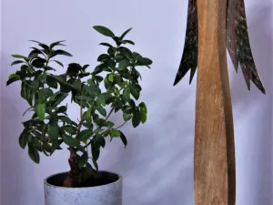 Prodej chalupy, Libošovice - Rytířova Lhota, 100 m2