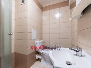 Prodej bytu 1+1, Teplice - Řetenice, Bratislavská, 41 m2