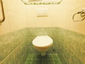 Pronájem bytu 3+1, Žďár nad Sázavou, Wolkerova, 64 m2