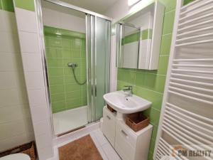 Pronájem bytu 2+kk, Olomouc, Eduarda Hamburgera, 43 m2