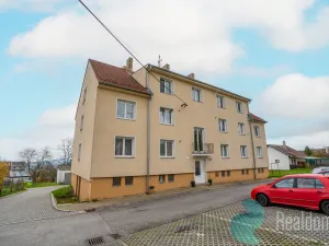 Prodej bytu 2+1, Netřebice, 56 m2