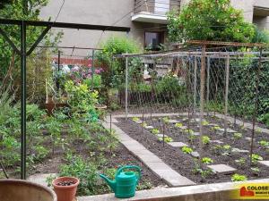 Pronájem bytu 2+1, Brno - Černá Pole, 65 m2