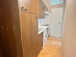 Pronájem bytu 1+kk, Praha - Michle, Na nivách, 28 m2
