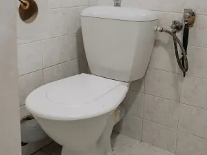 Prodej bytu 2+1, Nový Jičín, Máchova, 43 m2