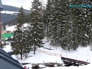 Pronájem bytu 2+kk, Pec pod Sněžkou, 35 m2