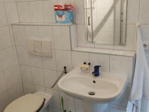 Pronájem bytu 1+1, Velké Březno - Valtířov, 33 m2