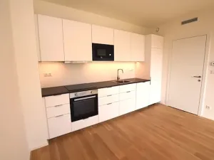 Pronájem bytu 1+kk, Praha - Lysolaje, Lysolajské údolí, 30 m2