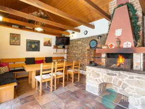 Prodej chalupy, Benešov nad Černou, 295 m2