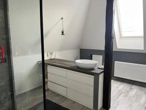 Pronájem bytu 4+1, Liberec, Zákopnická, 170 m2