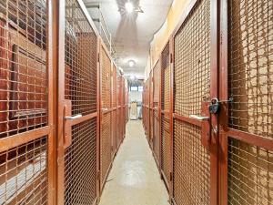 Prodej bytu 3+1, Benešov, Jiřího Horáka, 59 m2