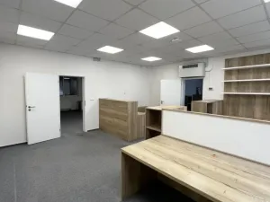 Pronájem skladu, Ostrava - Moravská Ostrava, Plynární, 781 m2