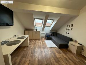 Prodej bytu 1+kk, Brno - Černovice, Olomoucká, 20 m2