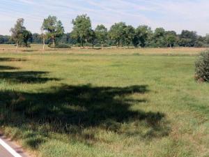 Prodej pole, Vodňany - Újezd, 8684 m2