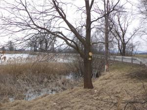 Prodej pole, Dříteň, 1815 m2