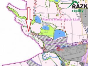 Prodej pole, Planá, 119477 m2
