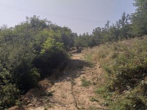 Prodej pole, Úterý, 34244 m2