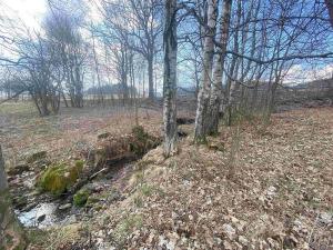 Prodej pole, Bartošovice v Orlických horách, 5738 m2